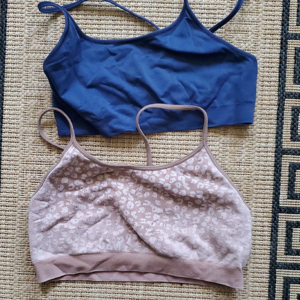 Blue and Brown Women's Bras
